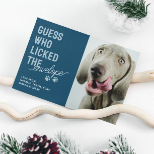 Festividades Cartão de Natal de Foto de Animal Engraçado que La