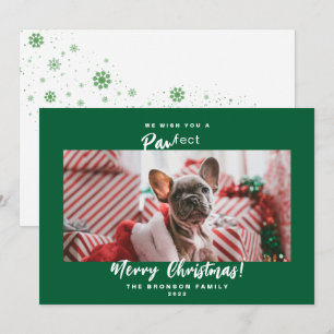 Festividades Cartão de Natal de Foto de Animal Festivo