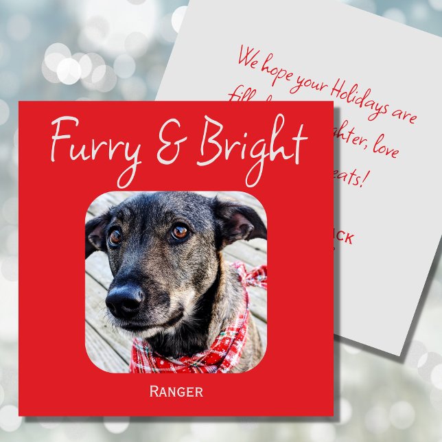 Festividades Cartão de Natal de Foto Pet Minimimalístico (Criador carregado)