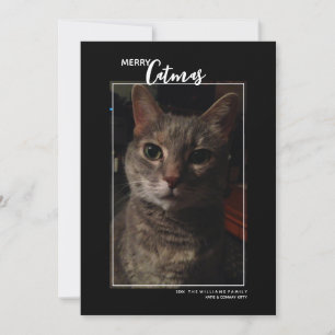 Festividades Cartão de Natal de Fotos de Animais de Estimação M