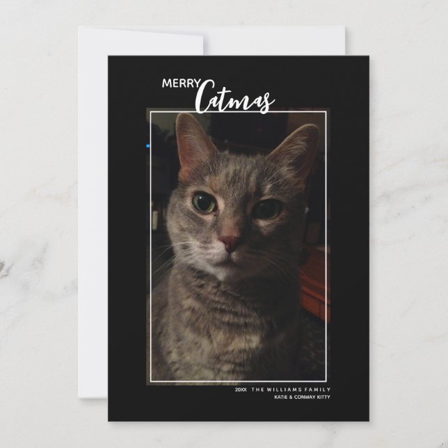 Festividades Cartão de Natal de Fotos de Animais de Estimação M (Frente)