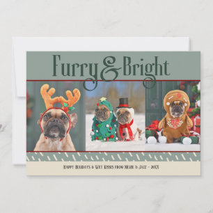 Festividades Cartão de Natal de Furry & Bright Dog