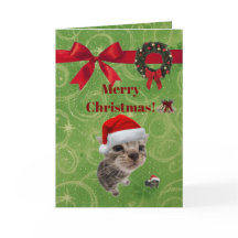 cartão de Natal de gatinho engraçado