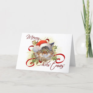Festividades Cartão de Natal de Gato Maine Coon