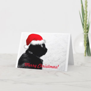 Festividades Cartão de Natal de Gato Negro