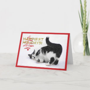 Festividades Cartão de Natal de Gato Negro e Branco