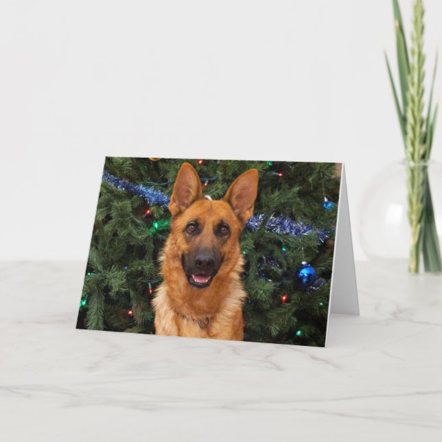 Festividades Cartão de Natal de german shepherd (Frente)