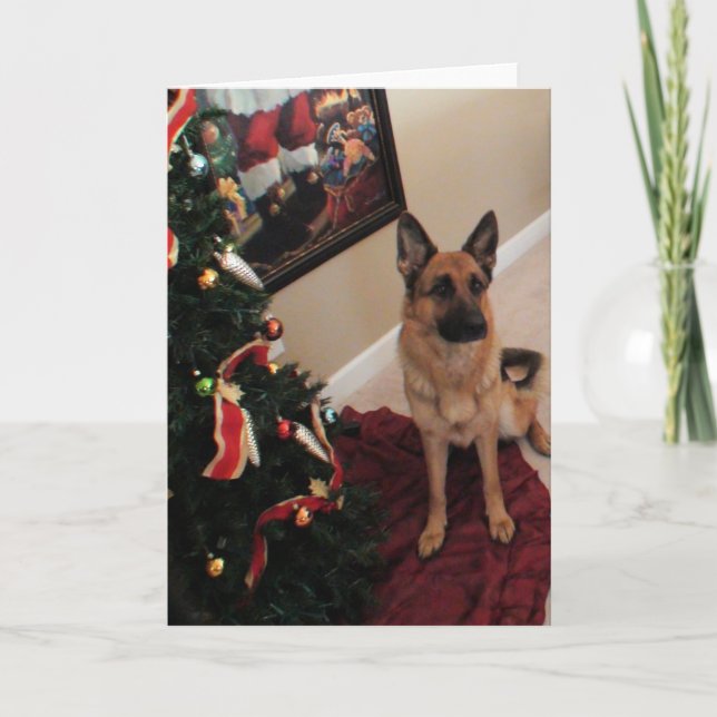 Festividades Cartão de Natal de german shepherd (Frente)