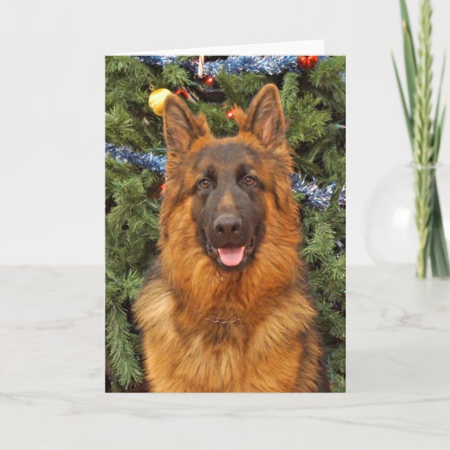 Festividades Cartão de Natal de german shepherd (Frente)