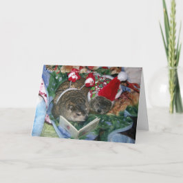 Festividades Cartão de Natal de Groundhog