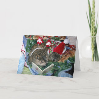 Festividades Cartão de Natal de Groundhog