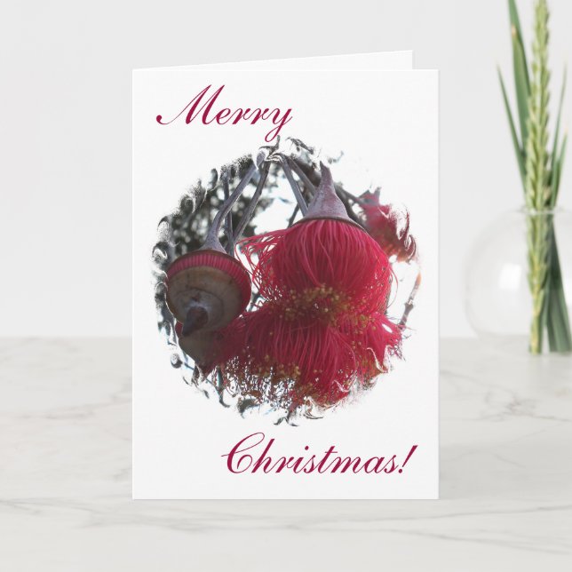 Festividades Cartão de Natal de Gum Nut (Frente)