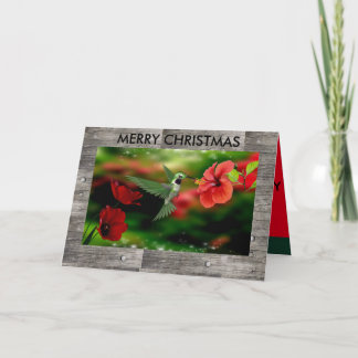 Festividades Cartão de Natal de Hummingbird