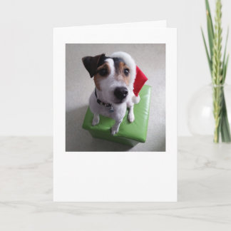 Festividades Cartão de Natal de Jack Russell Terrier do papai