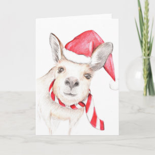 Festividades Cartão de Natal de Kangaroo