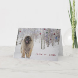 Festividades Cartão de Natal de Leonberger da paz