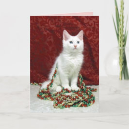 Festividades Cartão de Natal de Maine Coon da Bianca