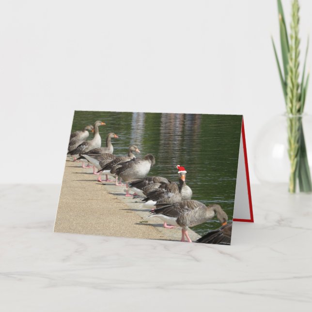 Festividades Cartão de Natal De Odd Goose (Frente)