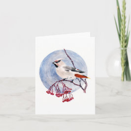 Festividades Cartão de Natal de Pássaros de Inverno