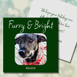 Festividades Cartão de Natal de Pet Verde Minimimalístico