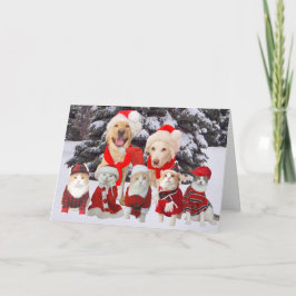 Festividades Cartão de Natal de Pets Engraçado Personalizável