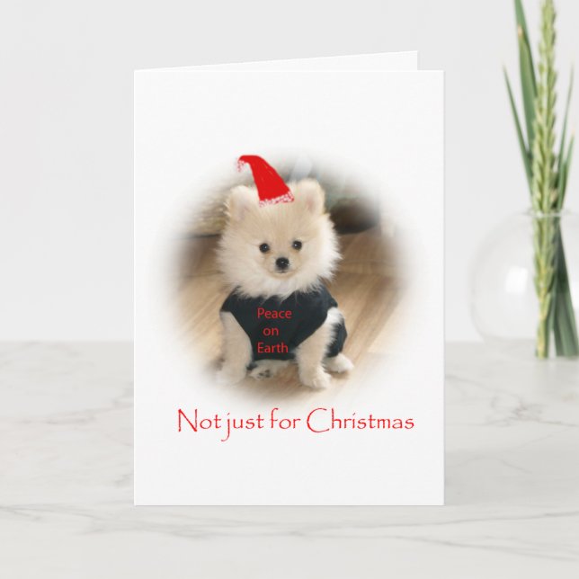 Festividades Cartão de Natal de Pomeranian (Frente)