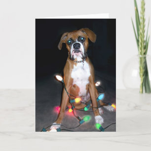 Festividades Cartão de Natal de Puppy
