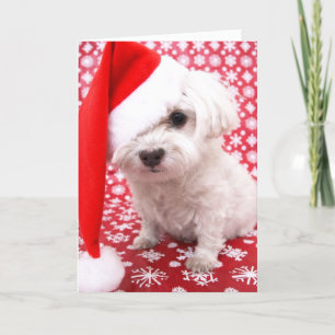 Festividades Cartão de Natal de Puppy