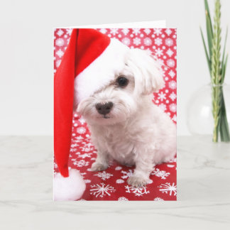 Festividades Cartão de Natal de Puppy