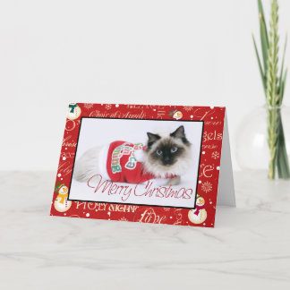 Festividades Cartão de Natal de Ragdoll