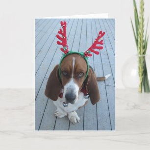 Festividades Cartão de Natal De Reitor Basset