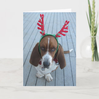 Festividades Cartão de Natal De Reitor Basset