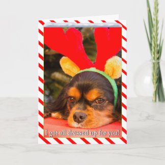 Festividades Cartão de Natal de Rena com King Charles Spaniel E