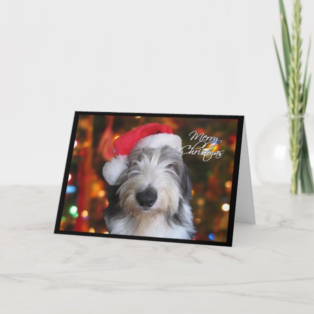 Festividades Cartão de Natal de Sheepdog Antigo em Inglês (Frente)