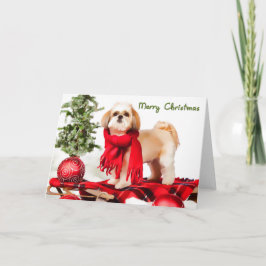 Festividades Cartão de Natal de Shih Tzu (casaco grampeado)