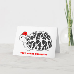 Festividades Cartão de Natal de Star Tortoise (chapéu de elfo)