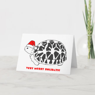 Festividades Cartão de Natal de Star Tortoise (chapéu de elfo)
