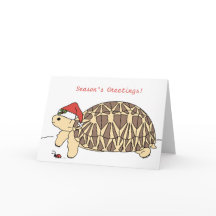 Cartão de Natal de Star Tortoise Personalizável