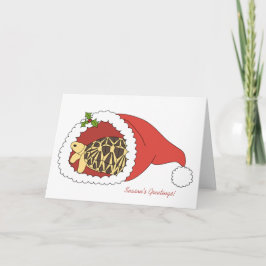 Festividades Cartão de Natal de Tartaruga Estrela Birmanesa (ch