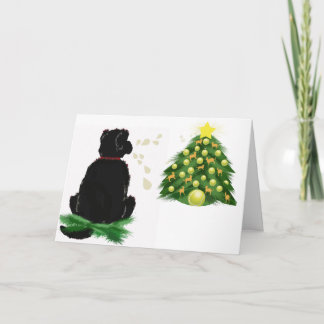 Festividades Cartão de Natal de Terra Nova