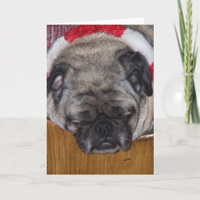 Festividades Cartão de Natal de um cão do Pug (Frente)