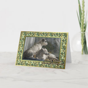 Festividades Cartão de Natal de Vazio de Cães Terrier Jack Russ