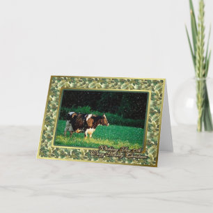 Festividades Cartão de Natal de Vazio Holstein Cow Heifer