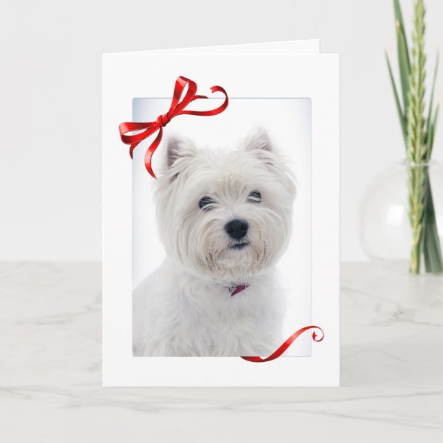 Festividades Cartão de Natal de Westie (Frente)