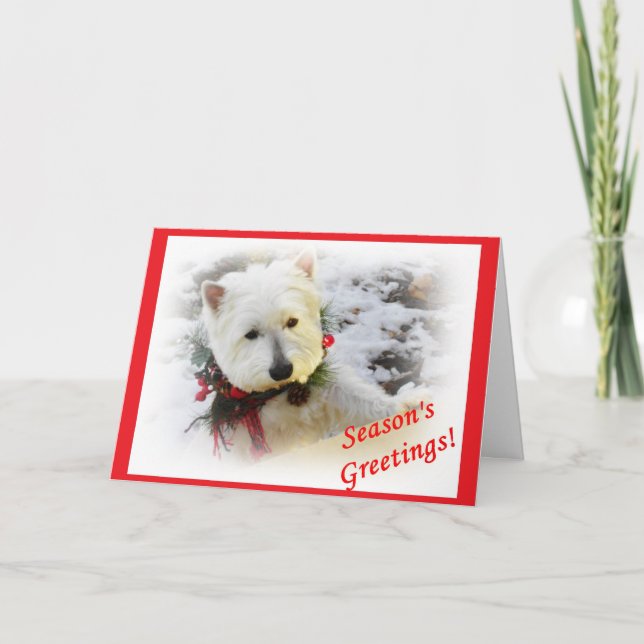 Festividades Cartão de Natal de Westie (Frente)