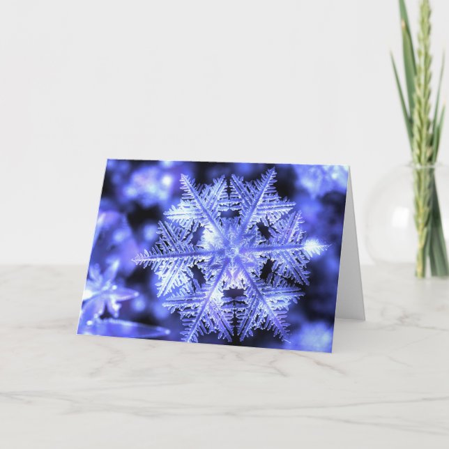 Festividades Cartão de Natal de Winterborn (Frente)