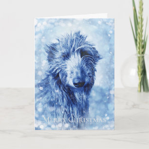 Festividades Cartão de Natal de Wolfhound Deerhound