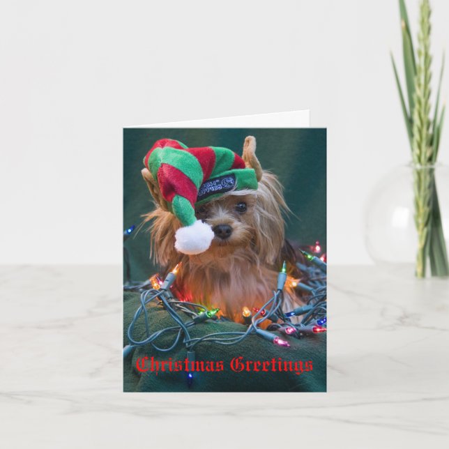 Festividades Cartão de Natal de Yorkie (Frente)
