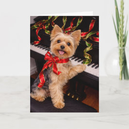 Festividades Cartão de Natal de Yorkshire Terrier ao Piano