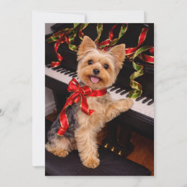 Festividades Cartão de Natal de Yorkshire Terrier com Piano